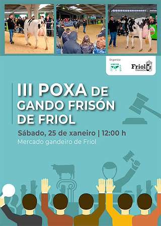 Fechas, información, programa, cartel, imágenes, mapa y ubicación de III Poxa de Gando Frisón  en  Friol