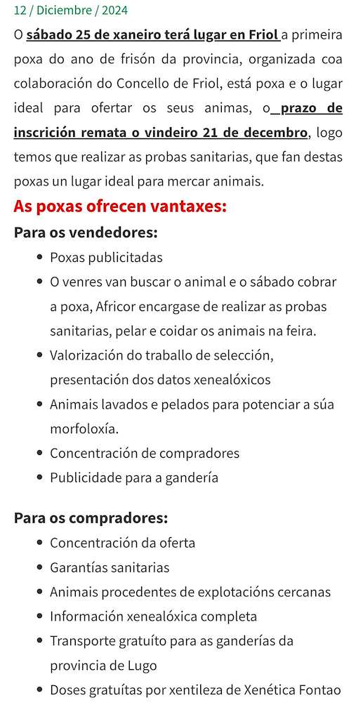 III Poxa de Gando Frisón en Friol