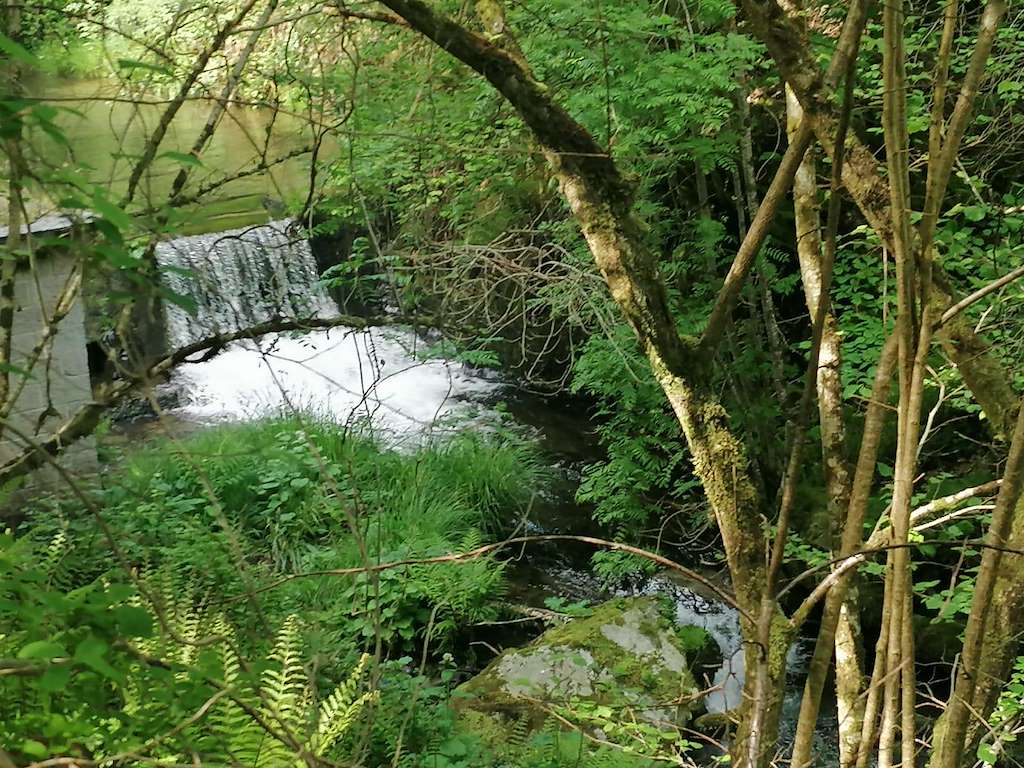 Pozo da Chamosa en A Pontenova