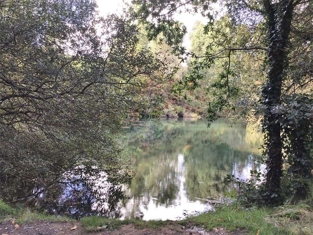 Pozo de Limideiro en Zas