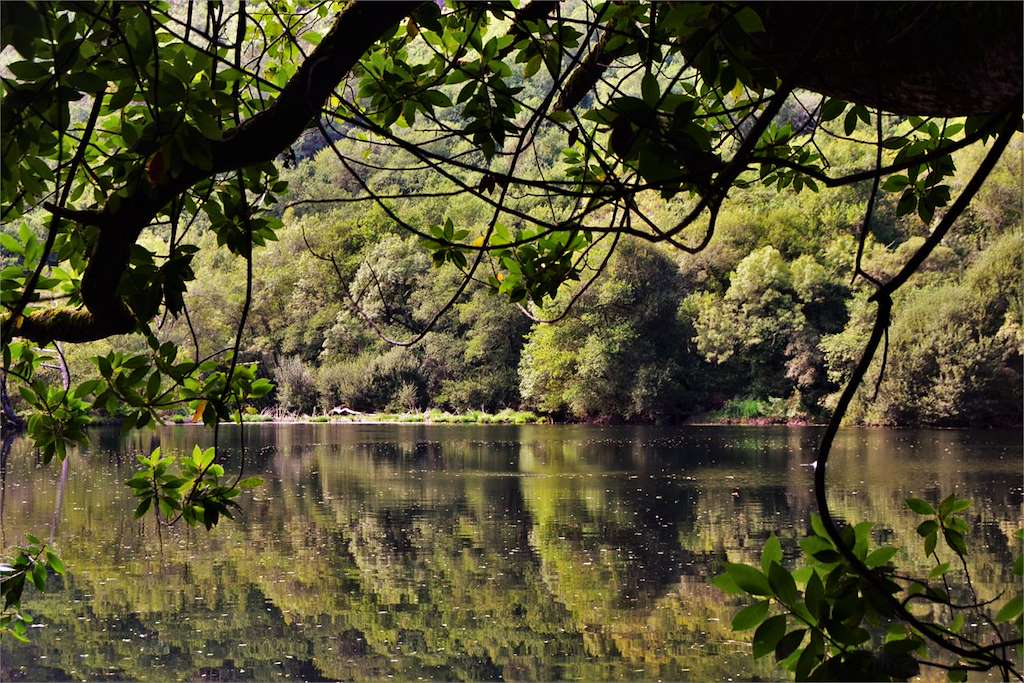 Pozo do Pego en Touro