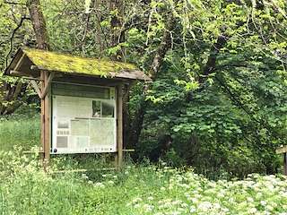 Fechas, información, programa, cartel, imágenes, mapa y ubicación de PR-G 139 - Ruta da Pena Guímara (2023)  en  A Fonsagrada