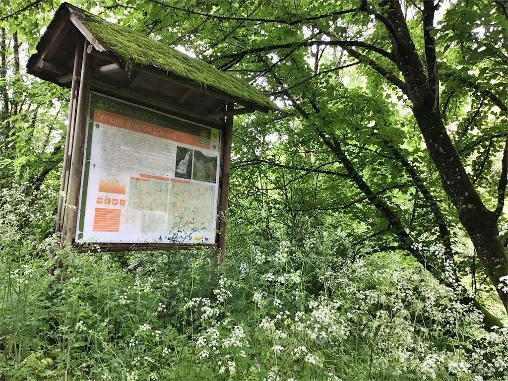 PR-G 140 - Sendeiro de Gallol en A Fonsagrada