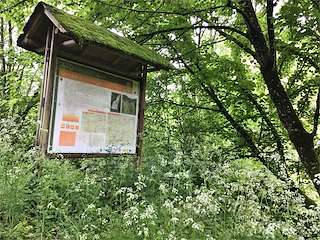 Fechas, información, programa, cartel, imágenes, mapa y ubicación de PR-G 140 - Sendeiro de Gallol (2023)  en  A Fonsagrada