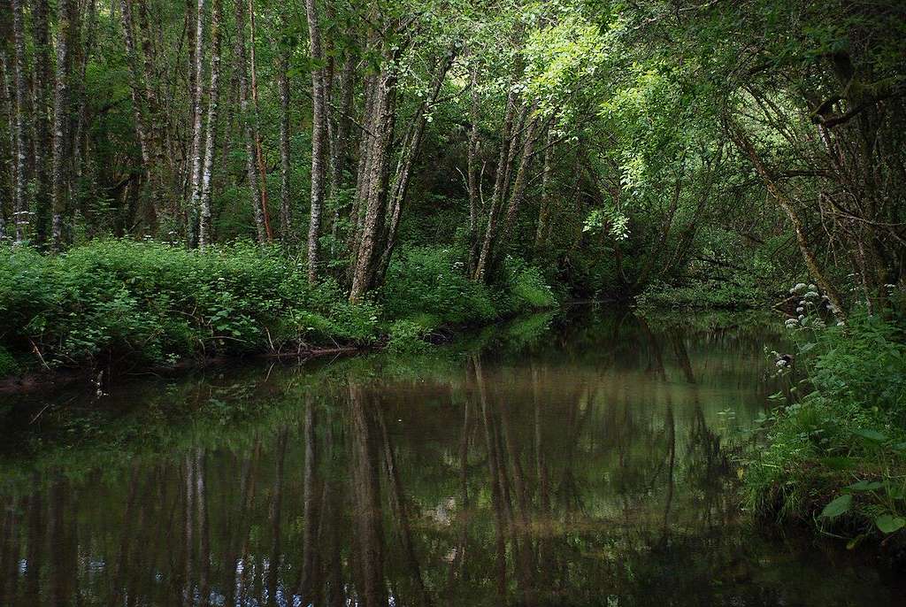 PR-G 145 - Fraga da Marronda - Alto Eo en Baleira