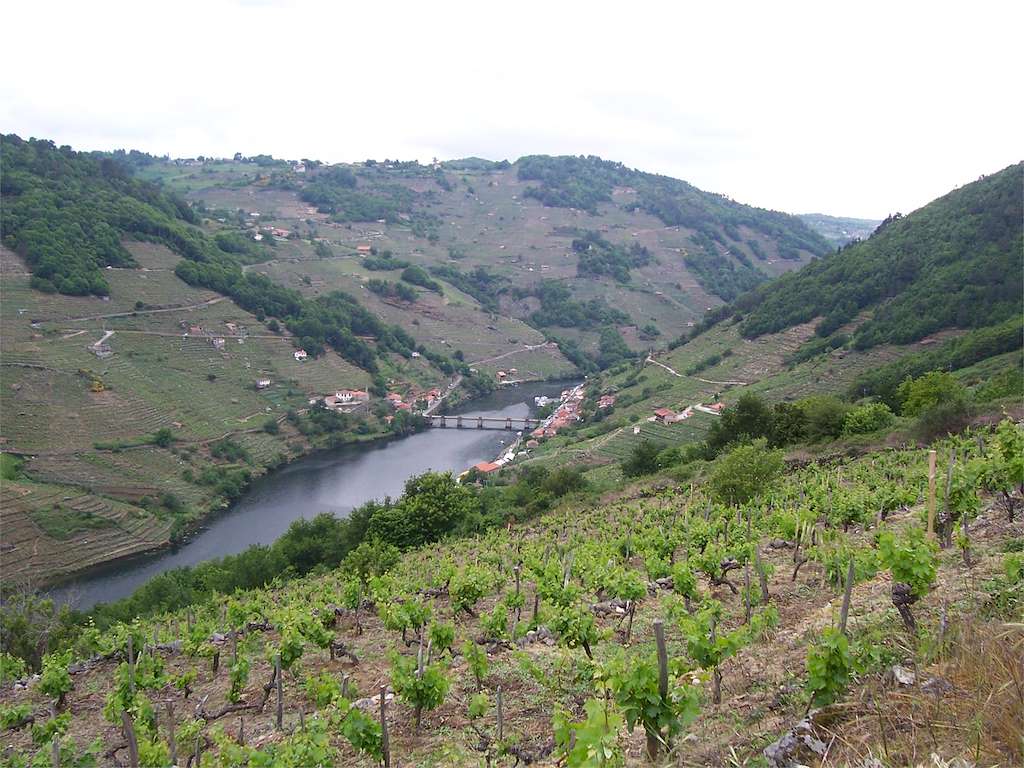 PR-G 183 Ruta dos Viñedos de Belesar en Chantada