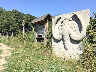 Fechas, información, programa, cartel, imágenes, mapa y ubicación de PR-G 239 - Ruta do Mamut e do os Castros (2023)  en  O Incio