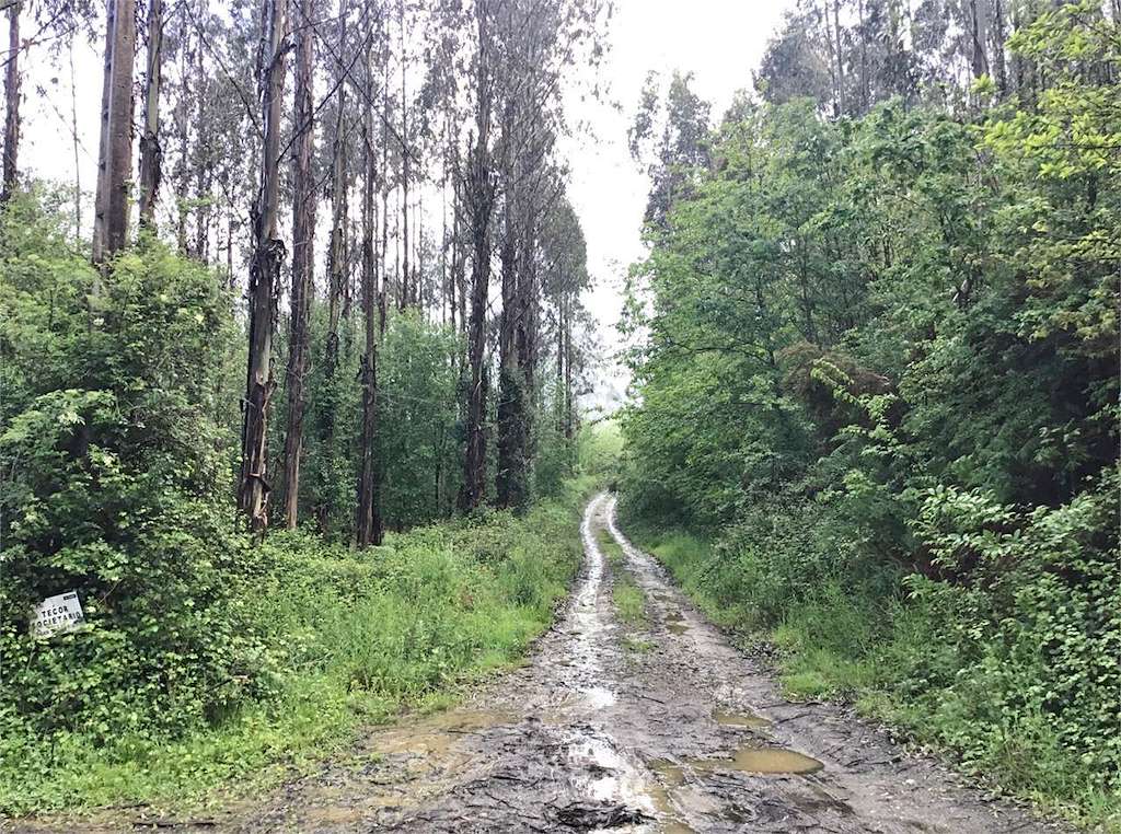 PR-G 47 Ruta do Río Aceiteiro en San Sadurniño