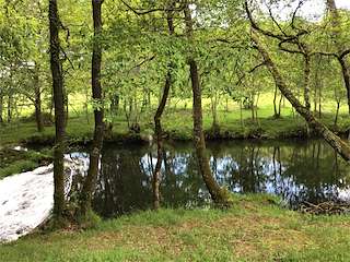 Fechas, información, programa, cartel, imágenes, mapa y ubicación de Praia Fluvial y Área Recreativa de Gaxate  en  A Lama