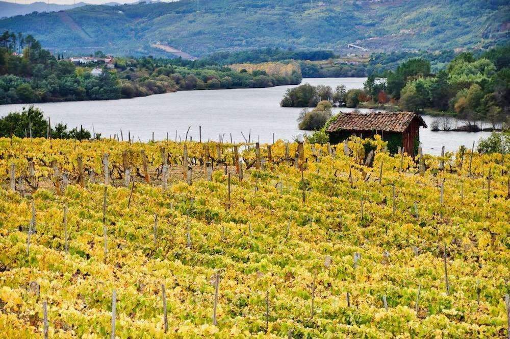 Priorato de Razamonde en Cenlle