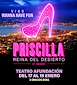 FiestasRelacionadas Priscilla, la reina del desierto - El Musical  en Vigo