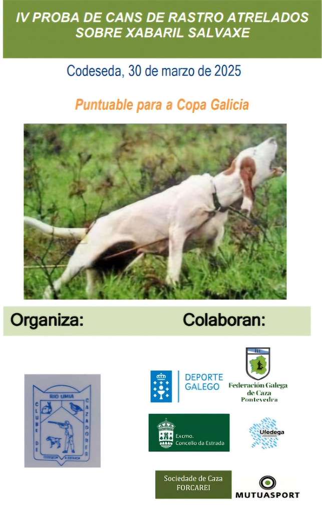 IV Proba de Cans de Rastro en A Estrada