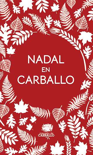 Programa de Navidad – Cabalgata de Reyes en Carballo