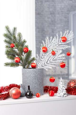 Programa de Nadal en Arteixo