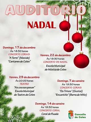 Programa de Nadal do Auditorio en Coles