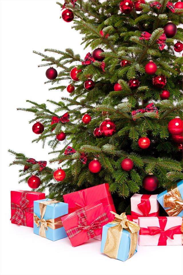 Programa de Navidad – Cabalgata de Reyes en Ares