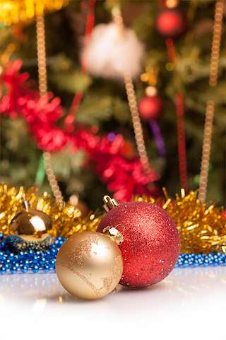 Fechas, información, programa, cartel, imágenes, mapa y ubicación de Programa de Navidad – Cabalgata de Reyes (2025-2026) en Lugo