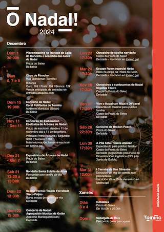 Fechas, información, programa, cartel, imágenes, mapa y ubicación de Programa de Nadal - Cabalgata de Reis (2025-2026)  en  Tomiño