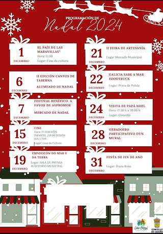 Programa de Nadal