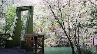 Puente Colgante de Fornelos
