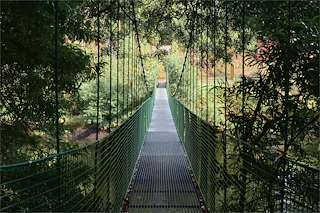 Fechas, información, programa, cartel, imágenes, mapa y ubicación de Puente Colgante del Tambre (2022)  en  Noia