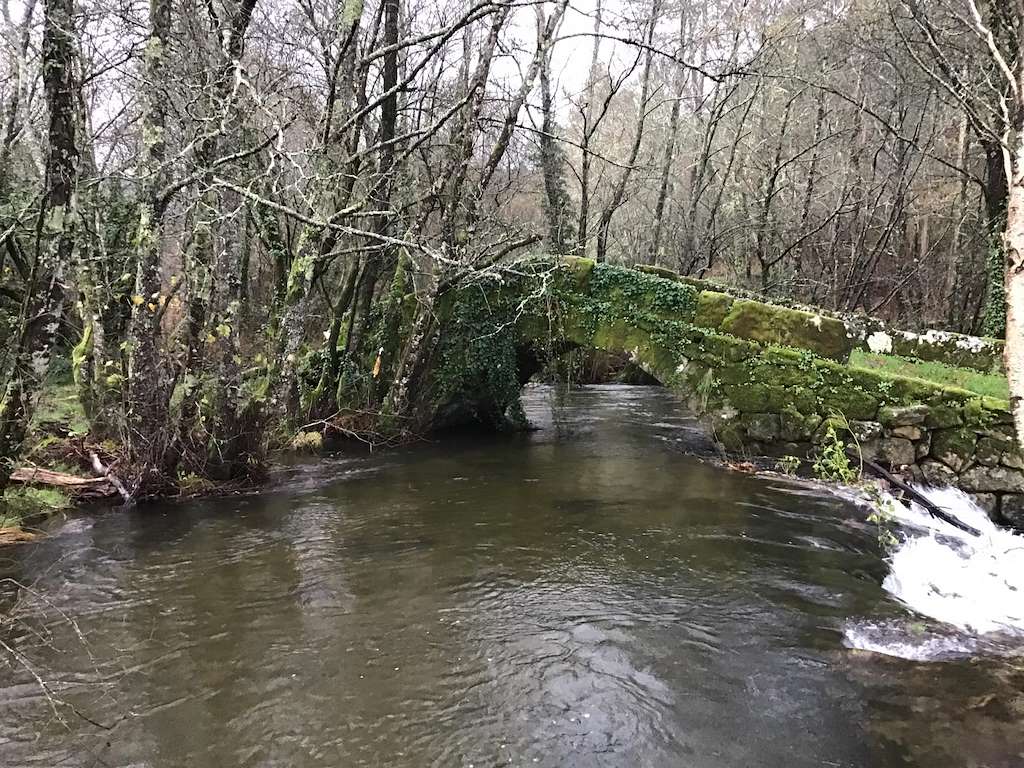 Puente de Noceifas en A Caniza