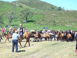 Rapa das Bestas de Sabucedo en A Estrada