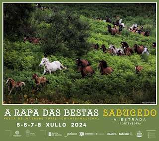 Rapa das Bestas de Sabucedo en A Estrada