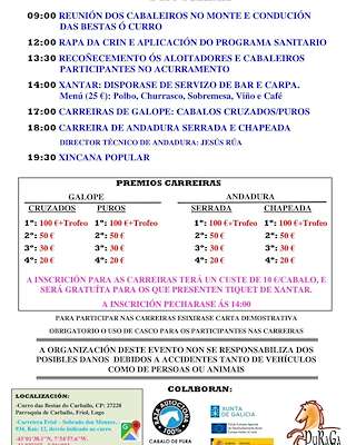 Rapa das Bestas de Carballo en Friol