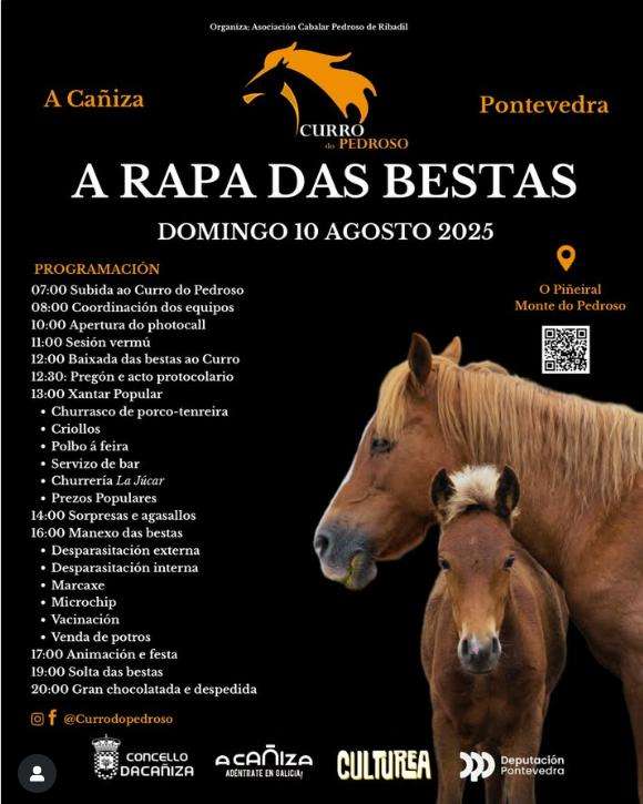 Rapa das Bestas (2025) en A Cañiza