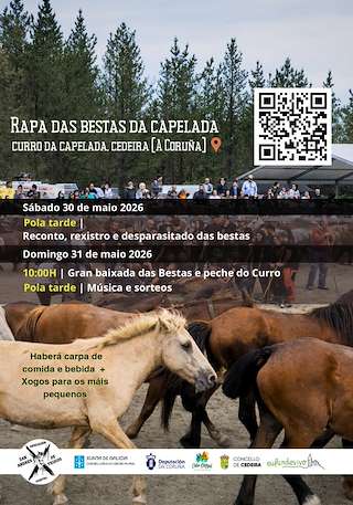 Fechas, información, programa, cartel, imágenes, mapa y ubicación de LII Rapa das Bestas da Capelada (2026)  en  Cedeira