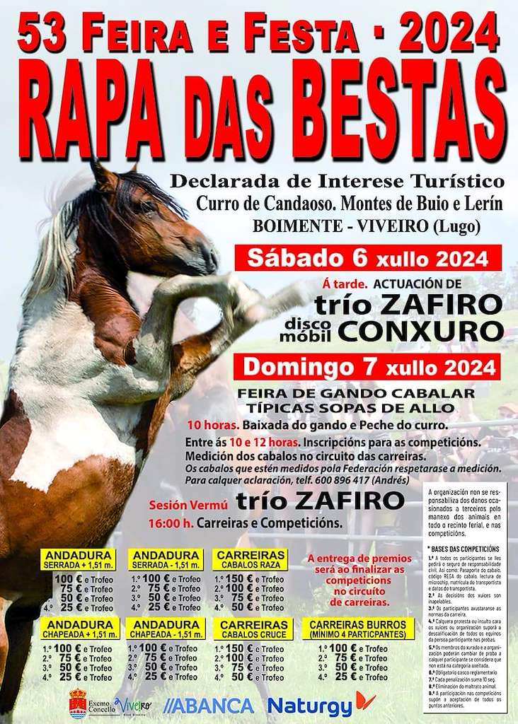 LIII Rapa das Bestas de Candaoso (2024) en Viveiro