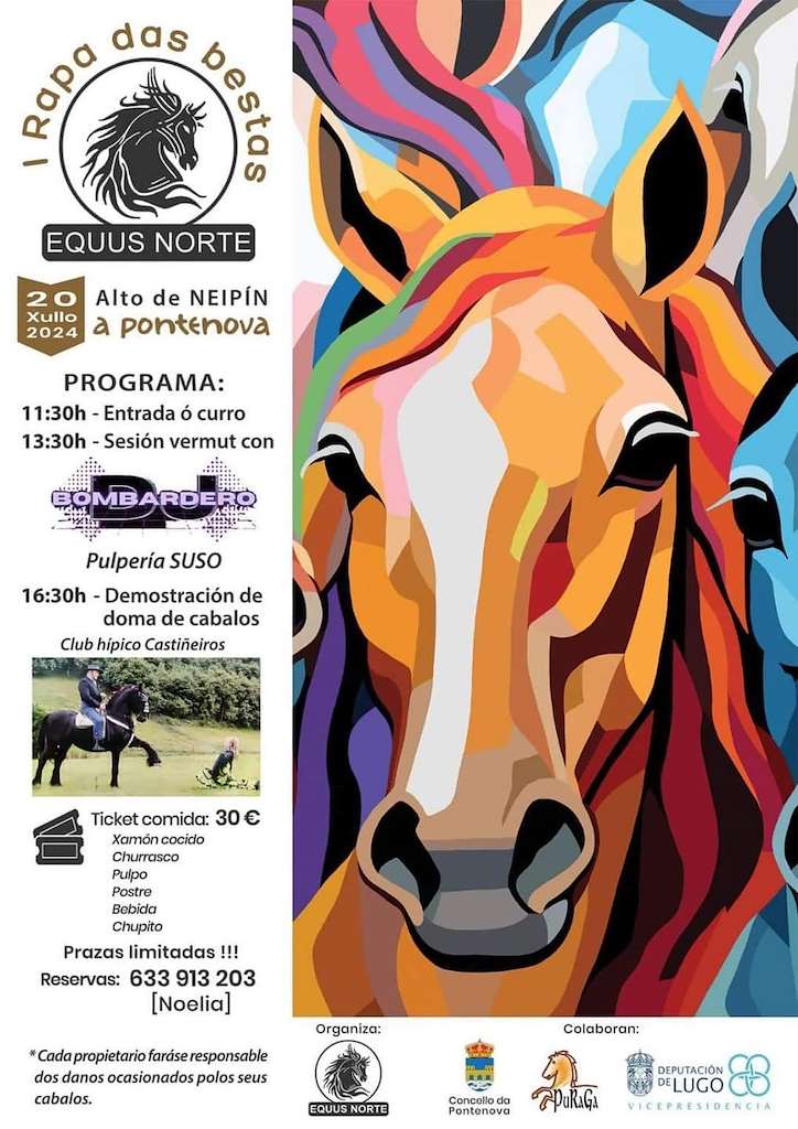 I Rapa das Bestas de Equus Norte en A Pontenova