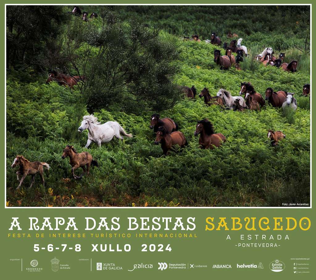 Rapa das Bestas de Sabucedo en A Estrada