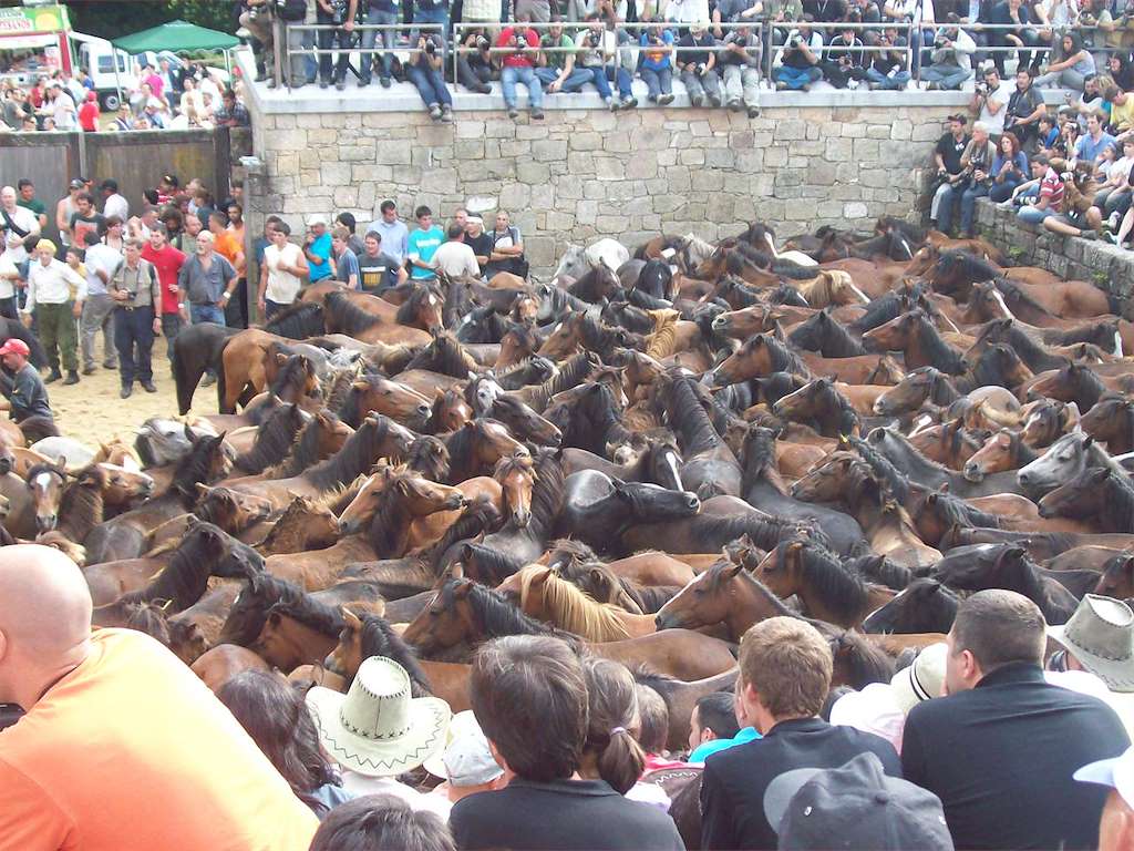 Rapa das Bestas de Sabucedo en A Estrada