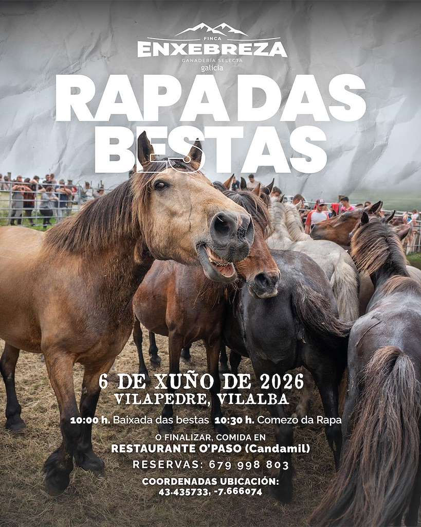 Rapa das Bestas de Vilapedre (2026) en Vilalba
