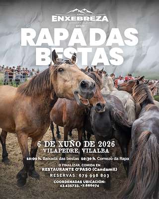 Fechas, información, programa, cartel, imágenes, mapa y ubicación de Rapa das Bestas de Vilapedre (2026)  en  Vilalba
