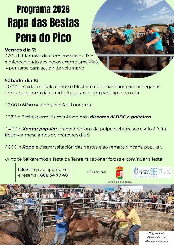 Rapa das Bestas Pena do Pico (2026) en Becerreá