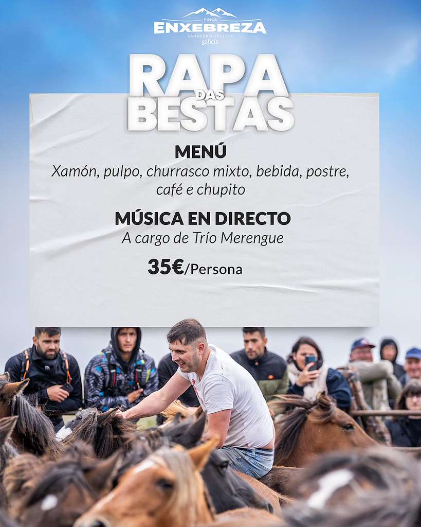 Rapa das Bestas en Vilalba