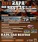 FiestasRelacionadas XXVIII Rapa das Bestas (1) en Vimianzo