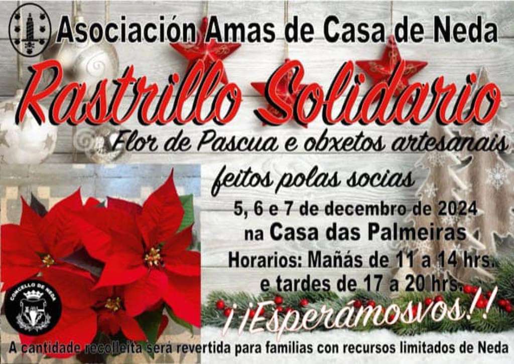 Rastrillo Solidario en Neda