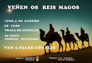 Fechas, información, programa, cartel, imágenes, mapa y ubicación de Recepción de Reyes (2026)  en  Os Blancos