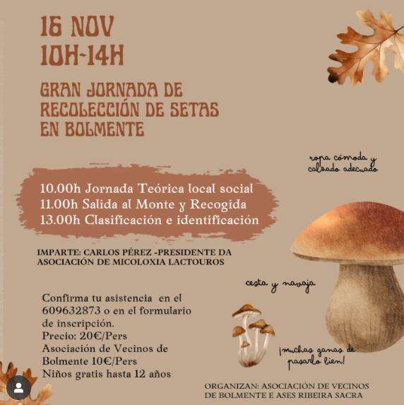 Recolección de Setas de Bolmente en Sober