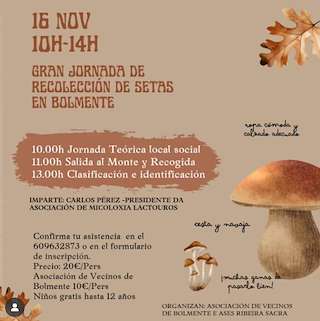 Fechas, información, programa, cartel, imágenes, mapa y ubicación de Recolección de Setas de Bolmente (2025)  en  Sober