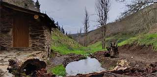 Fechas, información, programa, cartel, imágenes, mapa y ubicación de Refugio de Observación Hide O Muín  en  Cervantes