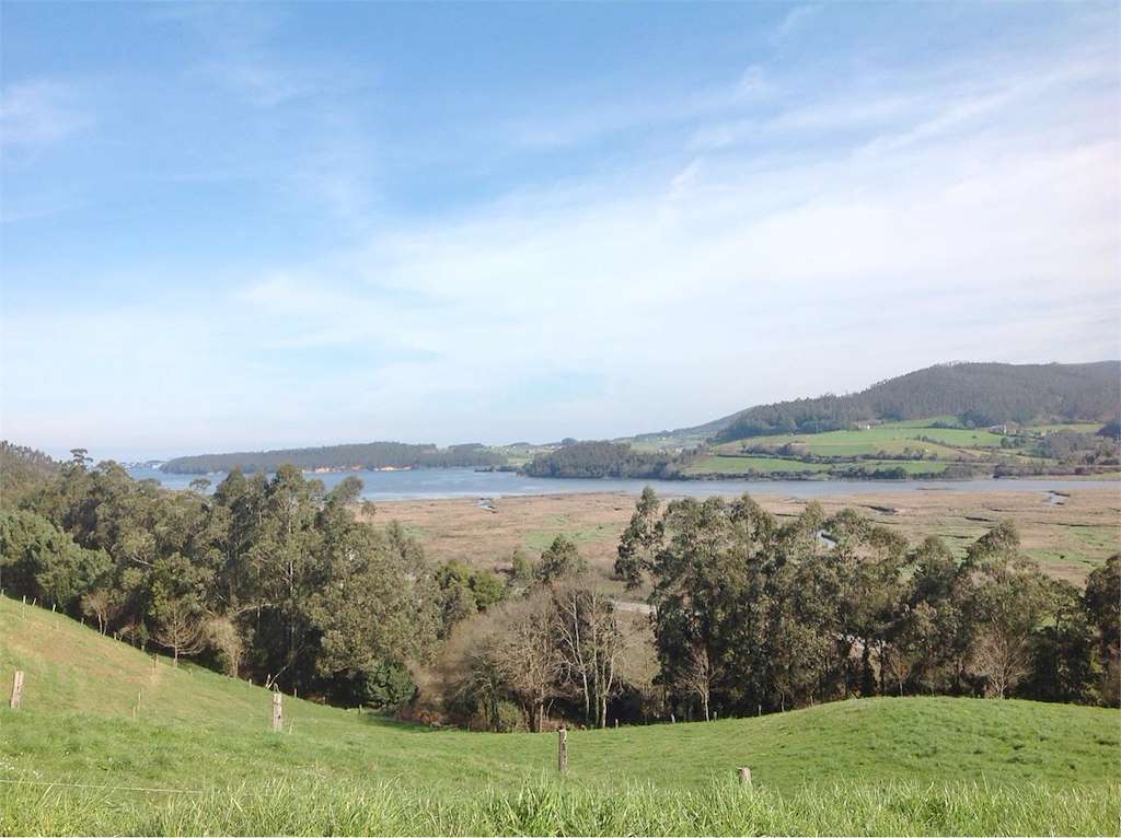 Ría de Ribadeo, Humedal Protegido