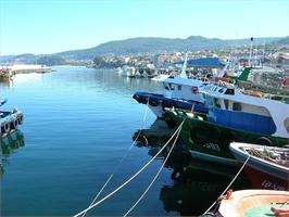 Romaría de Santo Amedio en Bueu