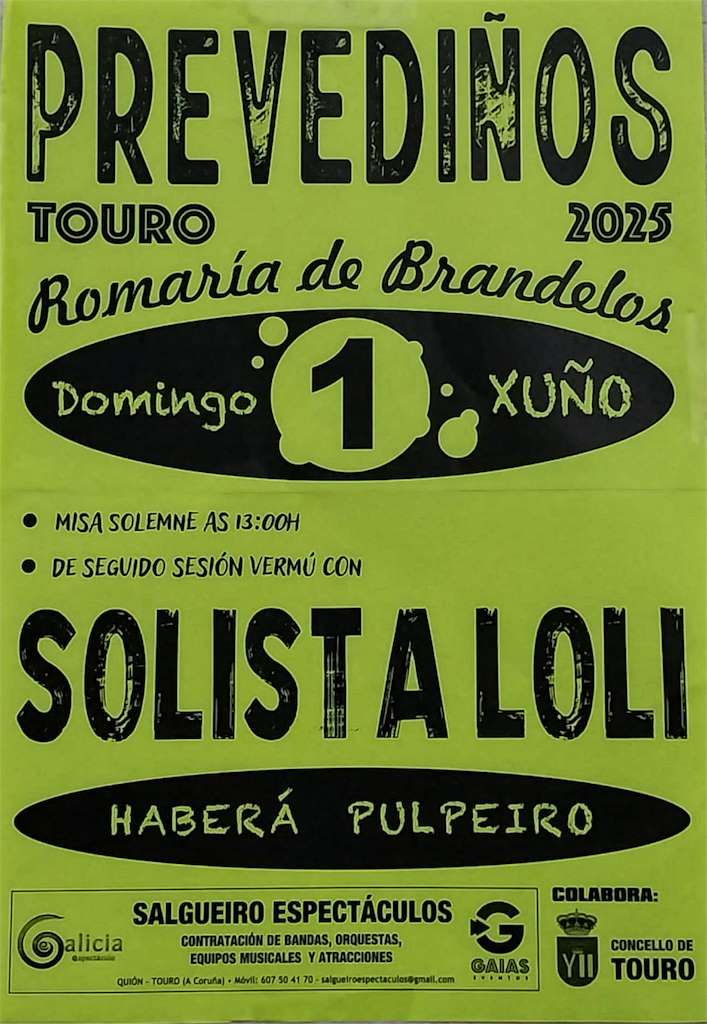 Romaría de Brandelos  (2025) en Touro