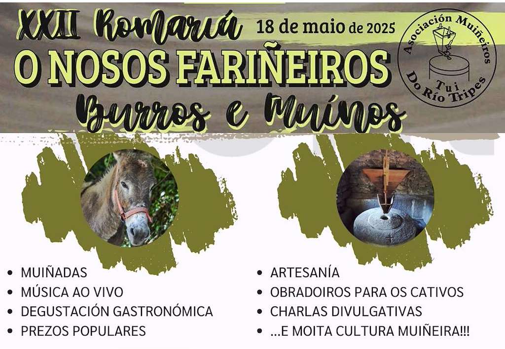 XXII Romaría de Os Nosos Fariñeiros Burros e Muíños (2025) en Tui