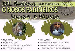 Fechas, información, programa, cartel, imágenes, mapa y ubicación de XXII Romaría de Os Nosos Fariñeiros Burros e Muíños (2026)  en  Tui